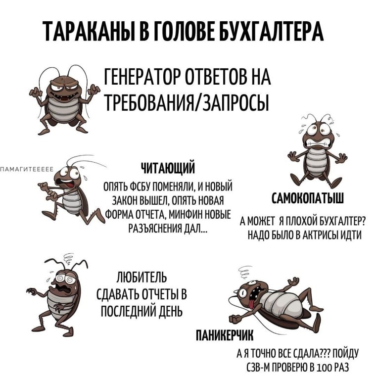 Таракашки таракашки