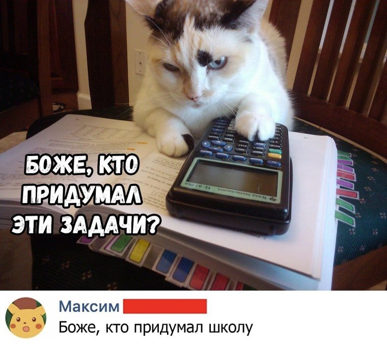 Приколы про бухгалтерию в картинках