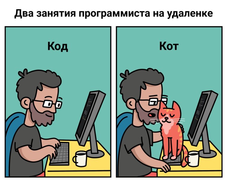 Шутки про программистов