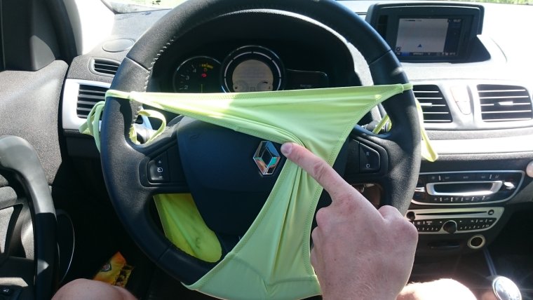 Владелец Рено