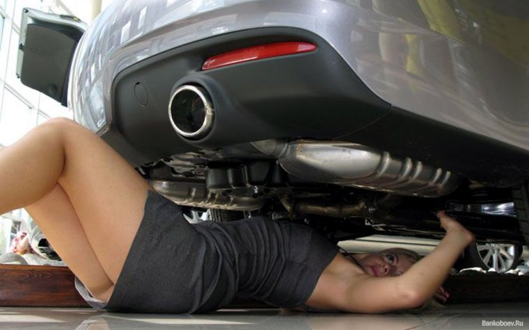 Рено смешные наклейки