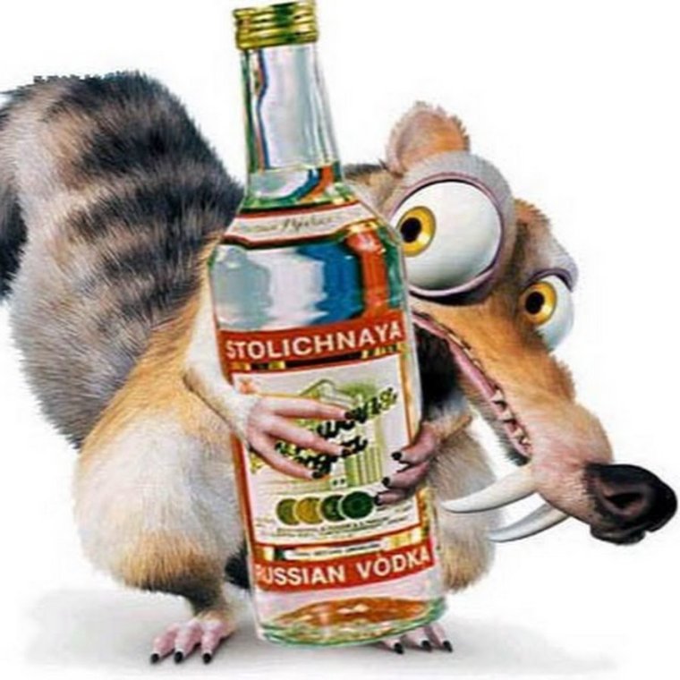 Белка с бутылкой