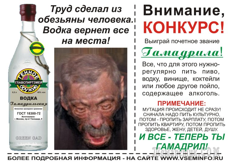 Что делать если выпил водку