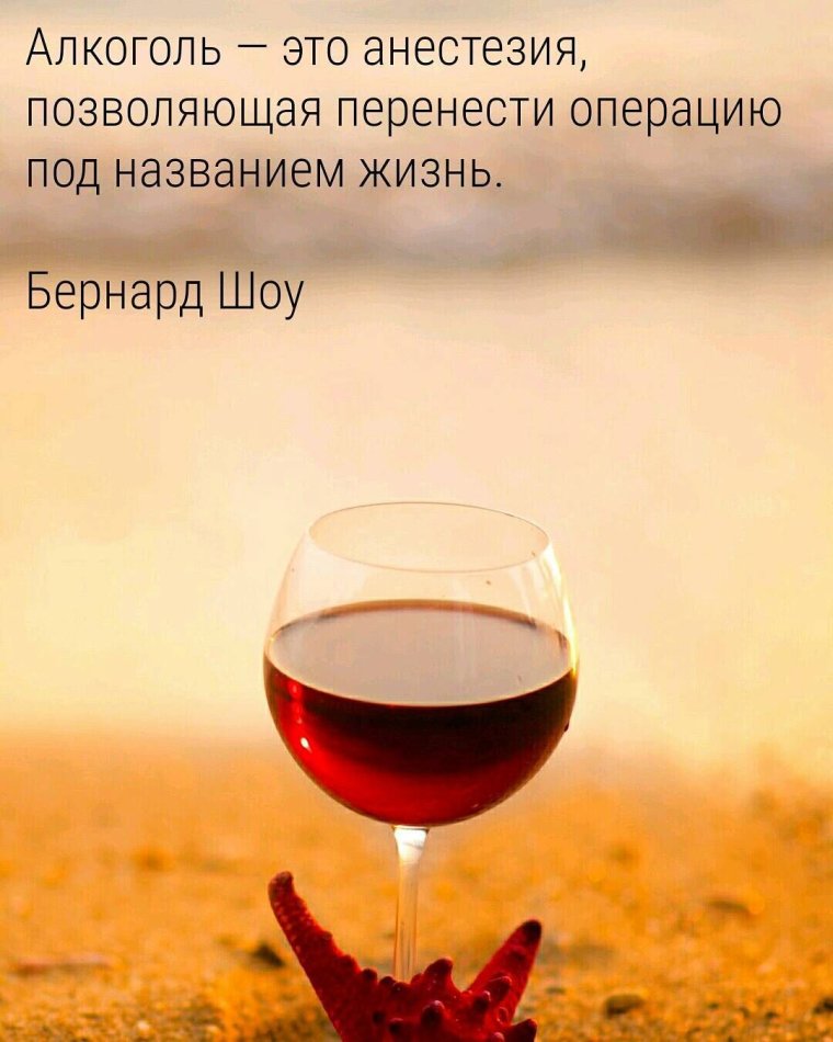 Цитаты про вино