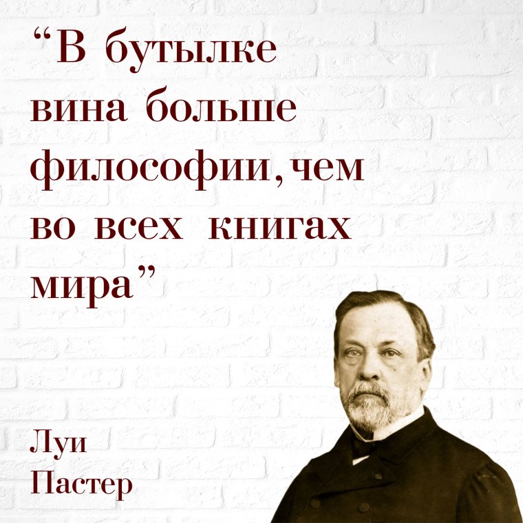 Высказывания о вине