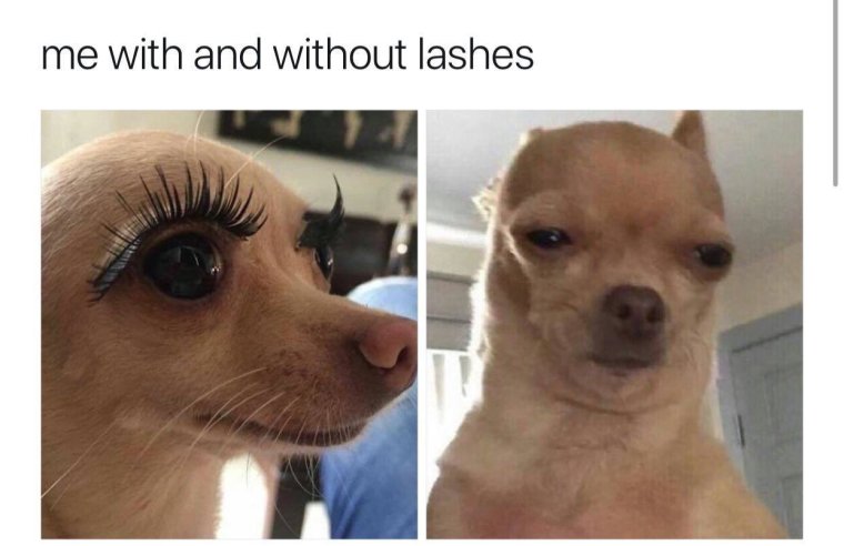 Мемы про нарощенные ресницы