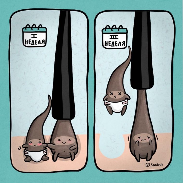 Шутки про наращивание ресниц