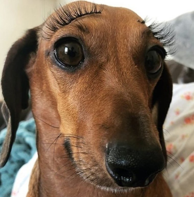 Мужик со смешной прической