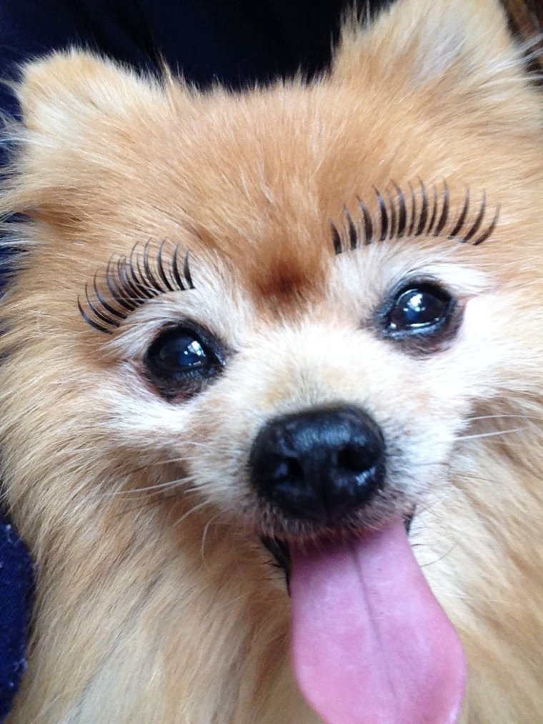 Смешной перманентный макияж