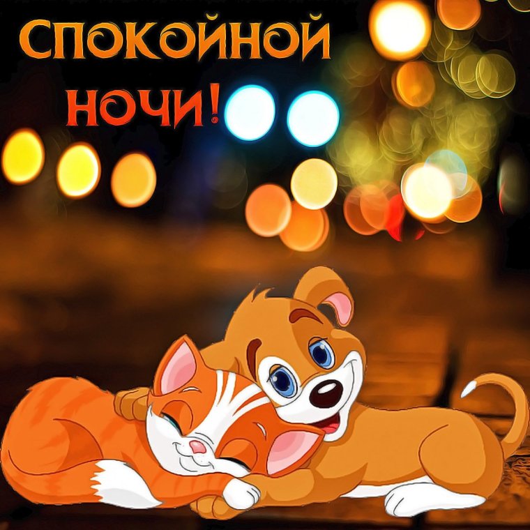 Мемы с надписями