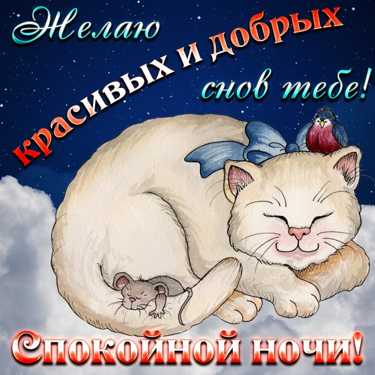 Спокойной ночи шутка