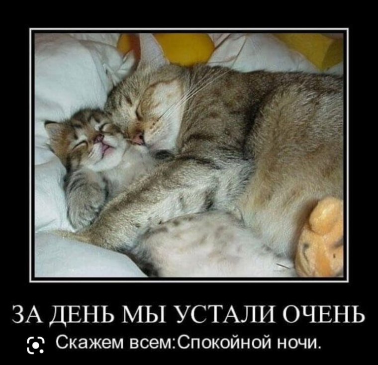 Спокойной ночи прикол