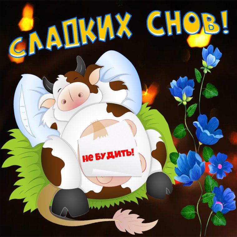 Пожелания спокойной ночи