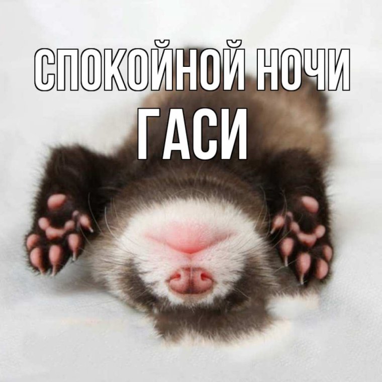 Доброго вечера и спокойной ночи