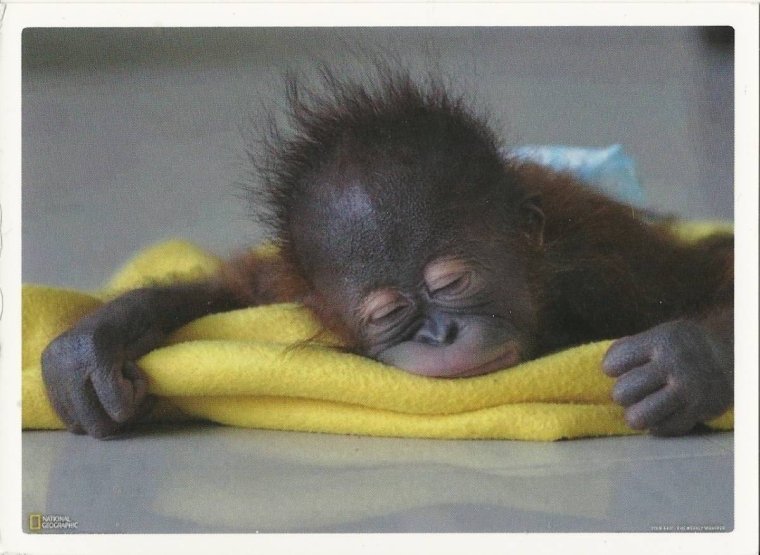 Высказывания про сон