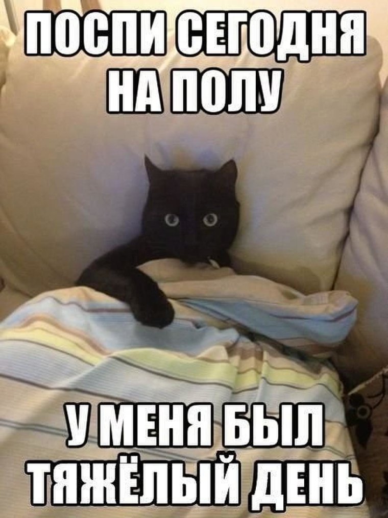 Спокойной ночи стикерыры