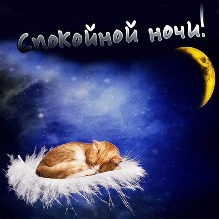 Сова болеет