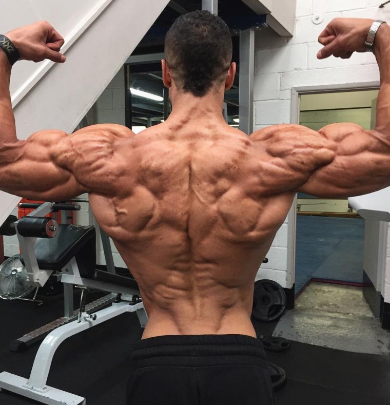 Рельефная спина мужская