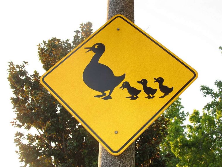 Смешные дорожные знаки