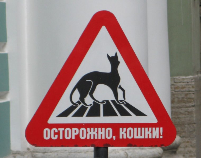 Знак осторожно кошки