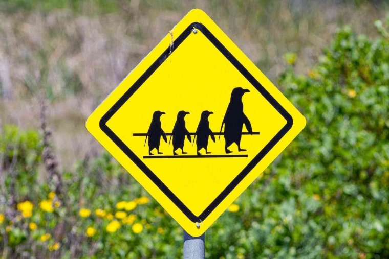 Необычные дорожные знаки