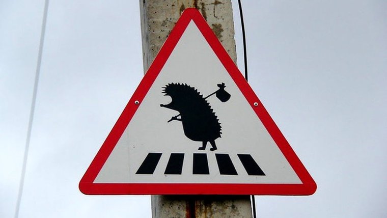 Смешные знаки