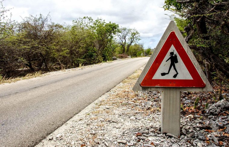 Необычные знаки на дороге