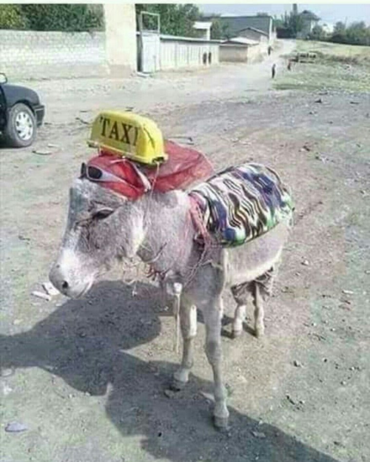 Ишак машина