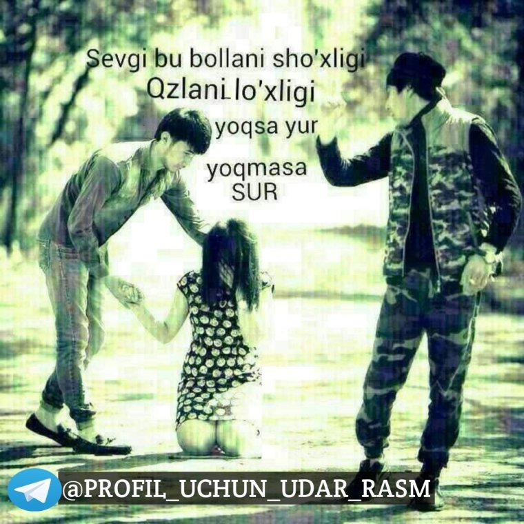 Романтика гаплар