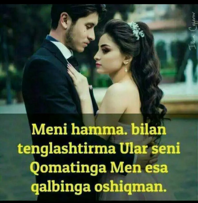 Шер ошиклар