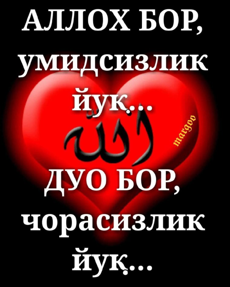 Аллох хакида