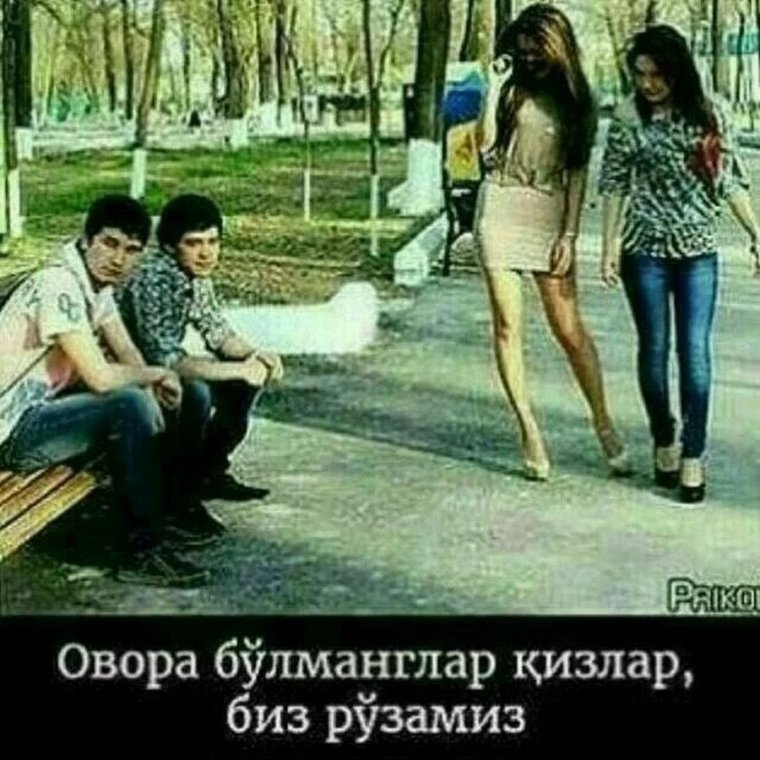 Прикол узбекча картинка