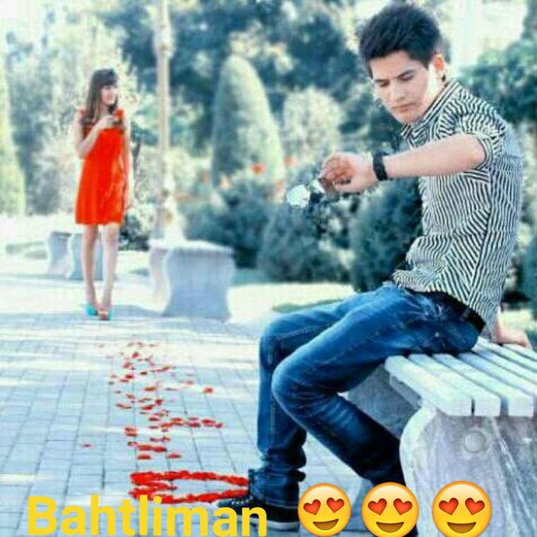 Срать лес елка светофор