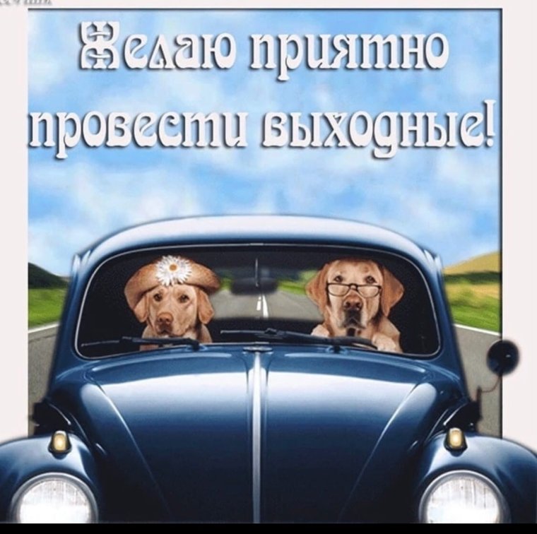 С днём автомобилиста открытки