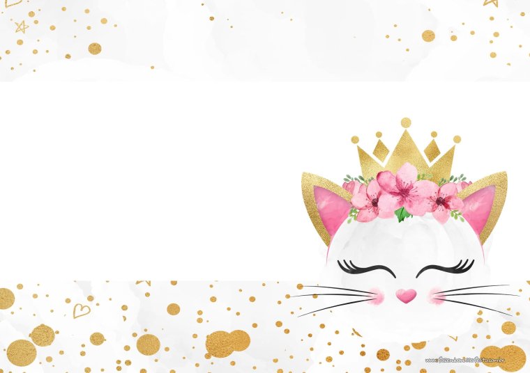 Приглашение на день рождения с котиками