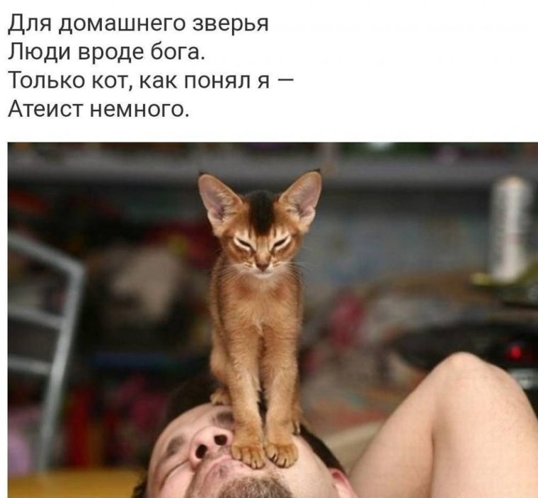 Массаж карикатура