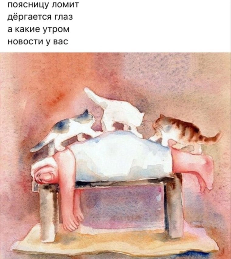 Высказывания про массаж