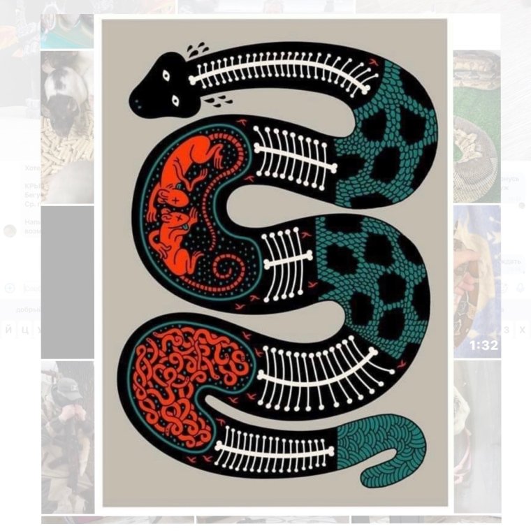Питон тату арт
