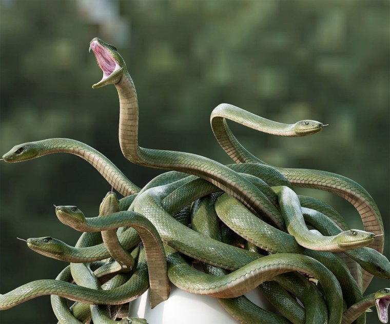 Холодная змея