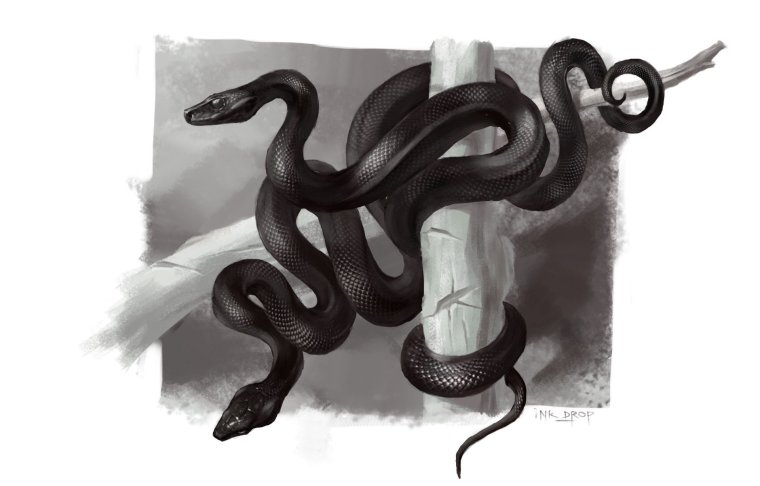 Черная змея арт