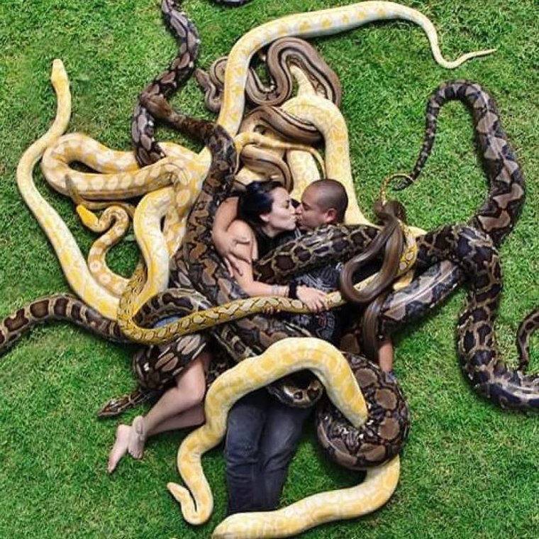 Подруги змеи