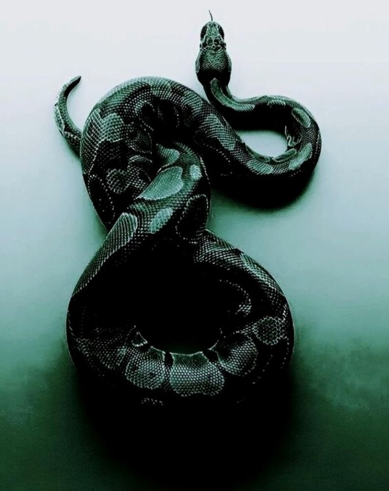 Паттерн змеи