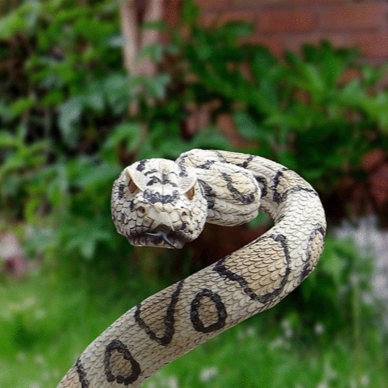 Белая змея Эстетика