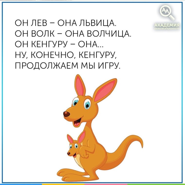 Загадки обманки