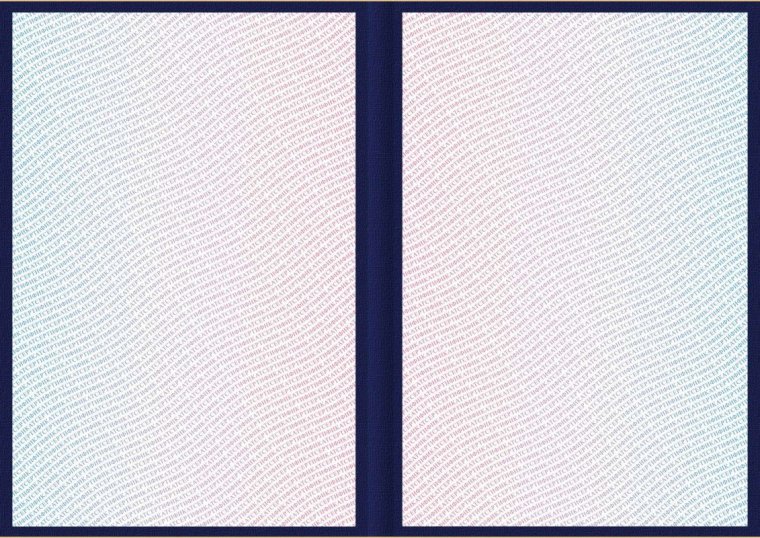 Защитная сетка гильош Триколор