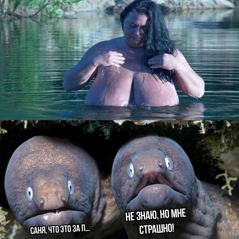 Картинки приколы