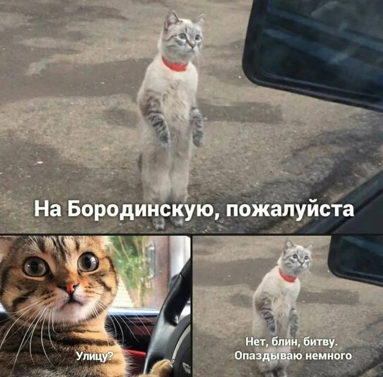 Мемы с надписями ржачные до слёз