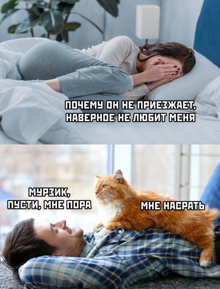 Весёлые мемы для поднятия настроения с надписями