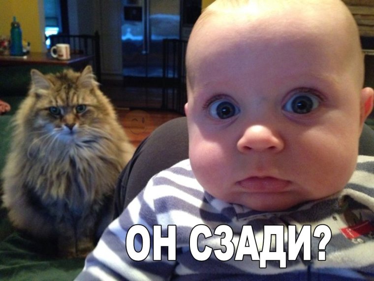 Приколы смешные до слез