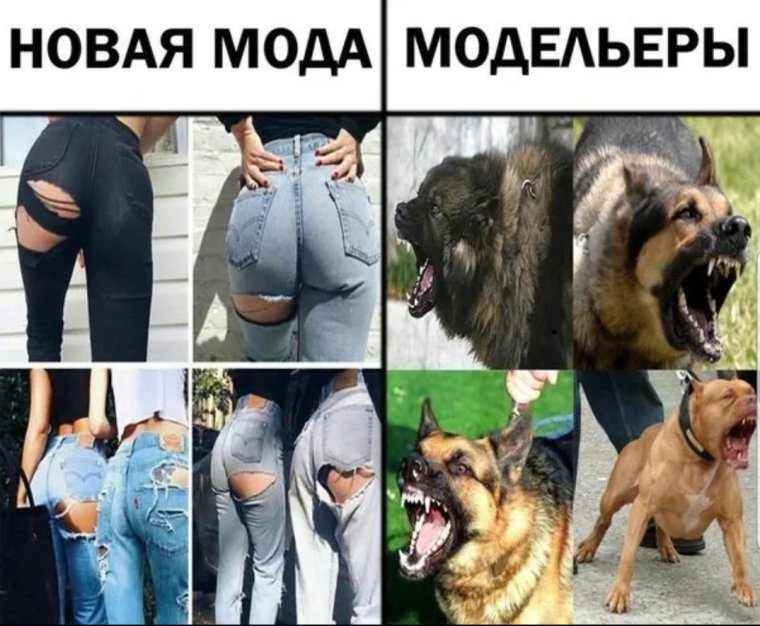 Актуальные приколы в картинках